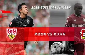 九游体育下载-社区盾赛前走向成谜，勒沃库森遗憾出局，球迷炸锅，控场能力受关注(勒沃库森02年阵容)